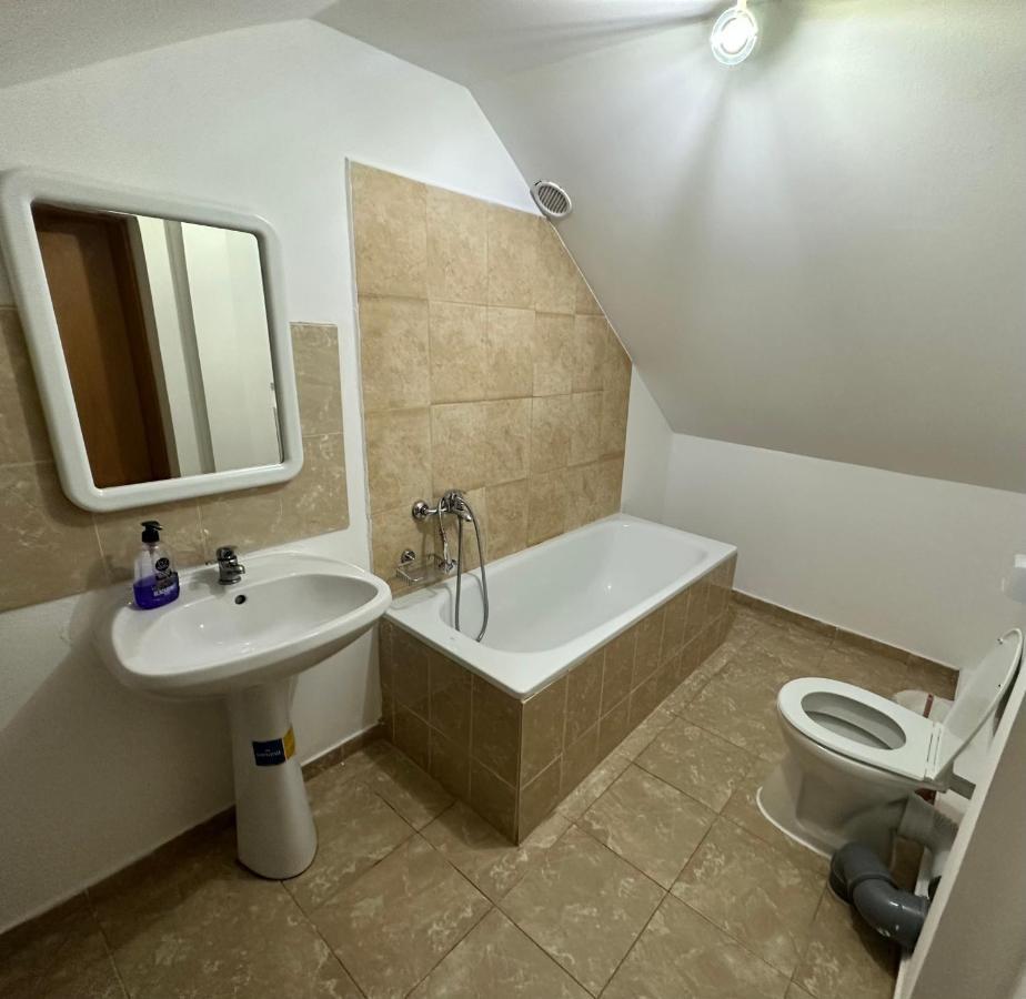Georgiana Apartments 2 Timisoara Exterior photo