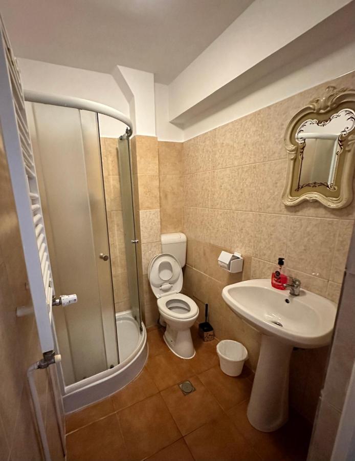 Georgiana Apartments 2 Timisoara Exterior photo